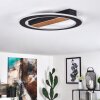 Plafonnier Katila LED Brun, Noir, 1 lumière