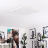 Plafonnier Boyero LED Blanc, 1 lumière