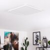 Plafonnier Boyero LED Blanc, 1 lumière