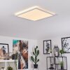 Plafonnier Boyero LED Blanc, 1 lumière