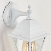 Applique murale d'extérieur Halla Blanc, 1 lumière