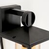 Applique murale d'extérieur Heinonen Noir, 1 lumière