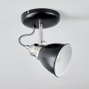 Plafonnier Gralingen Nickel mat, Noir, Blanc, 1 lumière