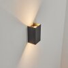 Applique murale d'extérieur Anobra LED Anthracite, 1 lumière