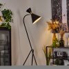 Lampadaire Rinkila Noir, 1 lumière