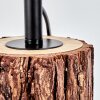Lampe de table Perdigueira Écru, Noir, 1 lumière