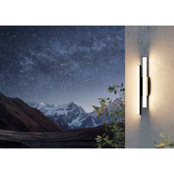 Applique murale d'extérieur Eglo SERRICELLA LED Noir, 2 lumières