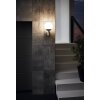Applique murale d'extérieur Eglo NISIA-Z LED Acier inoxydable, 1 lumière
