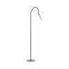Lampadaire Paul Neuhaus PURE-GEMIN LED Aluminium, Noir, 1 lumière
