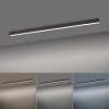 Plafonnier Paul Neuhaus PURE-LINES LED Anthracite, 1 lumière, Télécommandes