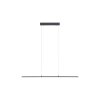 Suspension Paul Neuhaus PURE-LITE LED Anthracite, 1 lumière