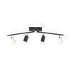 Plafonnier Paul Neuhaus PURE-MIRA LED Noir, 4 lumières, Télécommandes