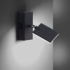 Applique murale Paul Neuhaus PURE-MIRA LED Noir, 2 lumières, Télécommandes