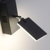 Applique murale Paul Neuhaus PURE-MIRA LED Noir, 2 lumières, Télécommandes