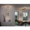Suspension Paul Neuhaus PURE-VEGA LED Noir, 9 lumières