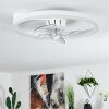 Ventilateur de plafond Oleiro LED Gris, Blanc, 1 lumière, Télécommandes
