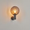 Applique murale d'extérieur Bostarenga Anthracite, 1 lumière