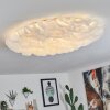 Plafonnier Adegoiva LED Blanc, 1 lumière