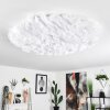 Plafonnier Adegoiva LED Blanc, 1 lumière