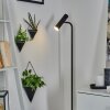 Lampadaire Dalheim LED Noir, 1 lumière