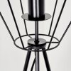 Lampadaire Bardhaman Noir, 1 lumière