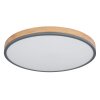 Plafonnier Globo DORO LED Gris, Couleur bois, 1 lumière, Télécommandes