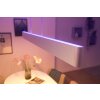 Suspension Philips Hue White & Colour Ambiance Ensis LED Blanc, 2 lumières, Changeur de couleurs