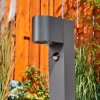 Borne lumineuse  Kingstown Anthracite, 1 lumière, Détecteur de mouvement