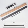 Suspension  Blandford LED Noir, 1 lumière, Télécommandes, Changeur de couleurs