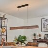 Suspension  Blandford LED Noir, 1 lumière, Télécommandes, Changeur de couleurs
