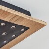 Plafonnier  Ramilos LED Écru, Noir, 1 lumière