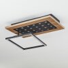 Plafonnier  Ramilos LED Écru, Noir, 1 lumière