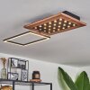Plafonnier  Ramilos LED Écru, Noir, 1 lumière