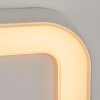 Applique murale d'extérieur  Paleroo LED Blanc, 1 lumière