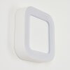 Applique murale d'extérieur  Paleroo LED Blanc, 1 lumière