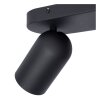 Plafonnier Lucide PUNCH Noir, 2 lumières