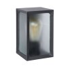 Applique murale d'extérieur Lucide CAGE LED Anthracite, 1 lumière