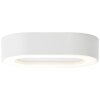 Applique murale d'extérieur Brilliant Whittaker LED Blanc, 1 lumière