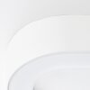 Applique murale d'extérieur Brilliant Whittaker LED Blanc, 1 lumière