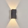 Applique murale d'extérieur  Coorabie LED Noir, 2 lumières
