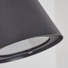 Applique murale d'extérieur  Cook Anthracite, 1 lumière Applique murale d'extérieur  Cook Anthracite, 1 lumière