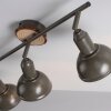 Plafonnier Leuchten-Direkt SWAMP Écru, 3 lumières