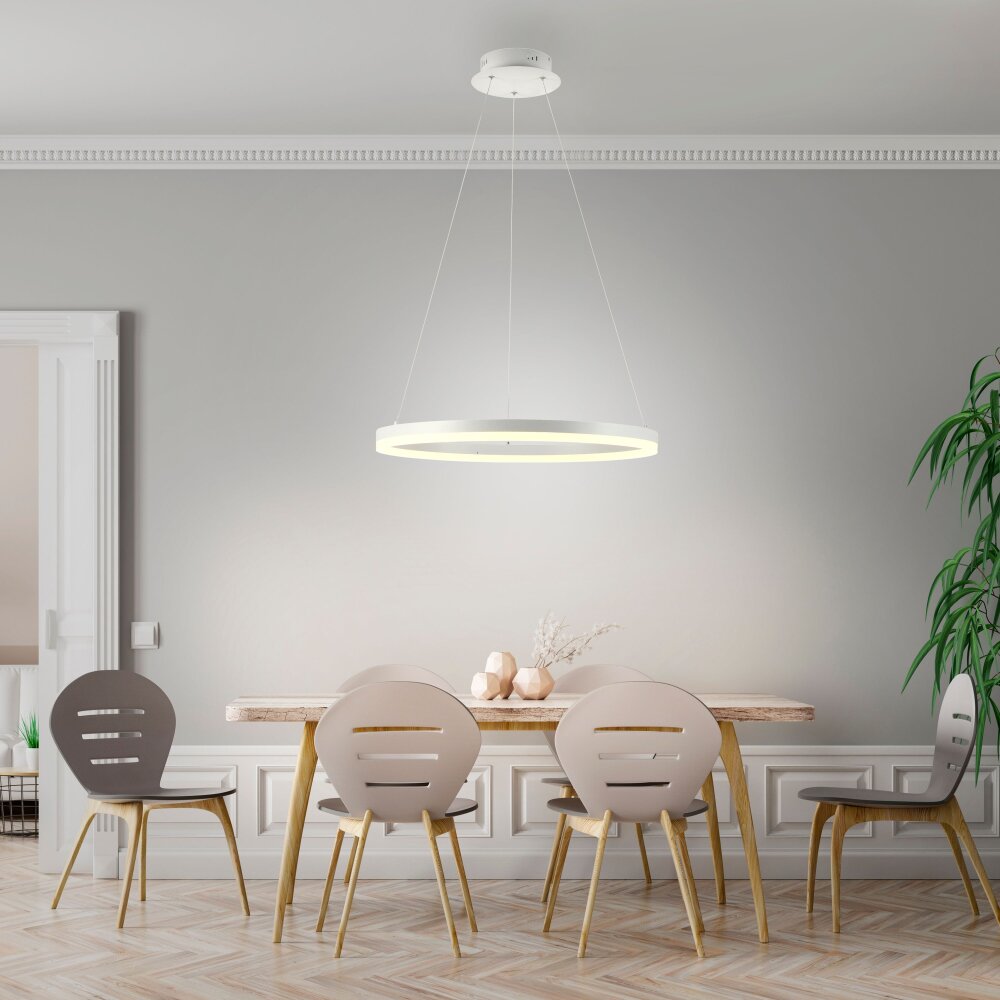 Suspension Paul-Neuhaus TITUS LED Blanc, 1 lumière main product photo