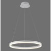 Suspension Paul-Neuhaus TITUS LED Blanc, 1 lumière