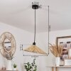 Suspension  Callide Noir, 1 lumière