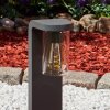Borne lumineuse  Radnor Anthracite, 1 lumière