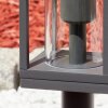 Borne lumineuse  Radnor Anthracite, 1 lumière