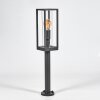 Borne lumineuse  Radnor Anthracite, 1 lumière