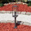 Borne lumineuse  Radnor Anthracite, 1 lumière