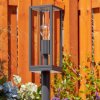 Borne lumineuse  Radnor Anthracite, 1 lumière